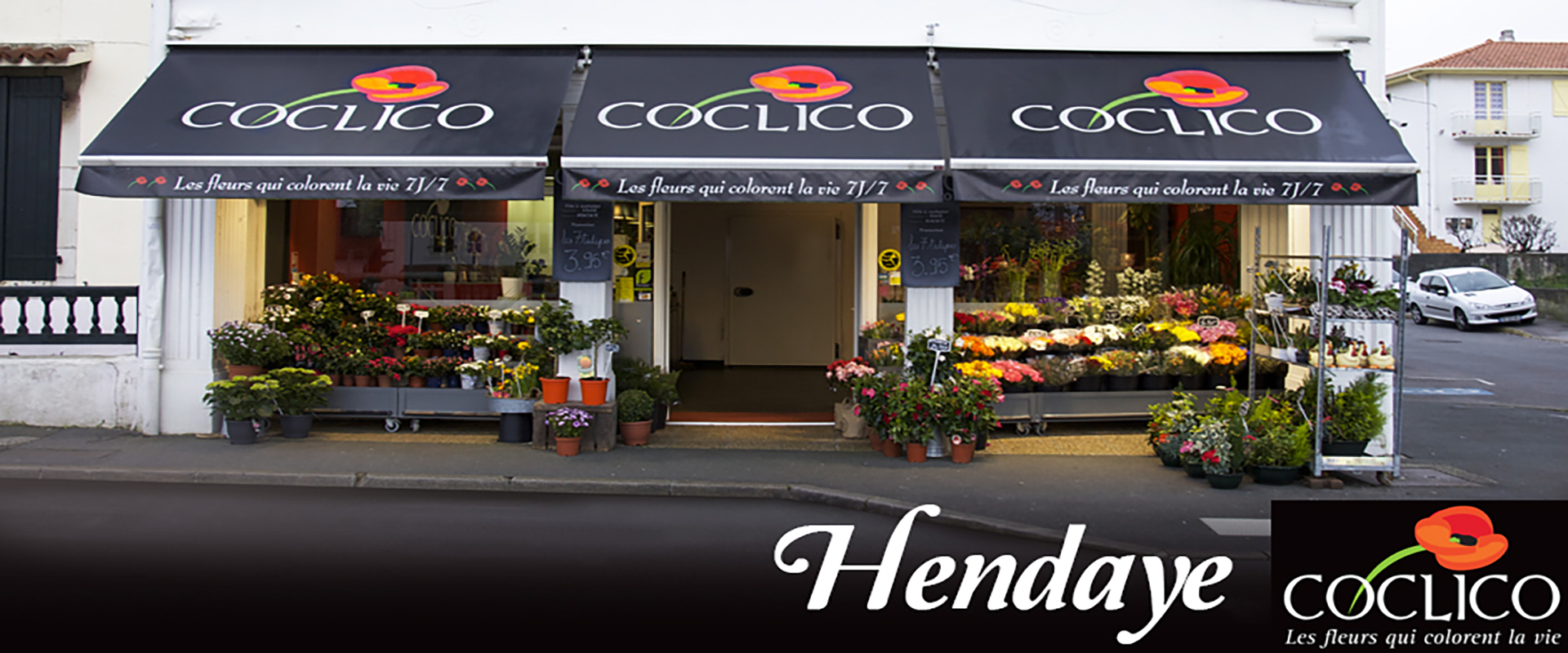 Coclico Hendaye Fleuriste Pays basque Hendaye Biarritz Boutique Coclico Hendaye Fleuriste Pays basque Hendaye Biarritz Boutique