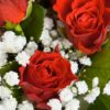 Coclico Hendaye Fleuriste Pays basque Hendaye Biarritz Bouquet Amapola
