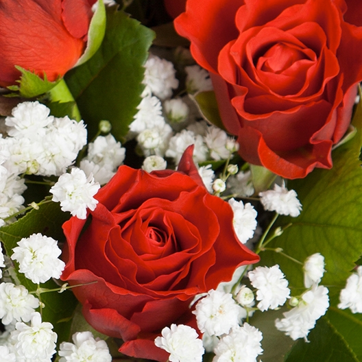 Coclico Hendaye Fleuriste Pays basque Hendaye Biarritz Bouquet Amapola Coclico Hendaye Fleuriste Pays basque Hendaye Biarritz Bouquet Amapola