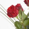 Coclico Hendaye Fleuriste Pays basque Hendaye Biarritz Bouquet Bacarra