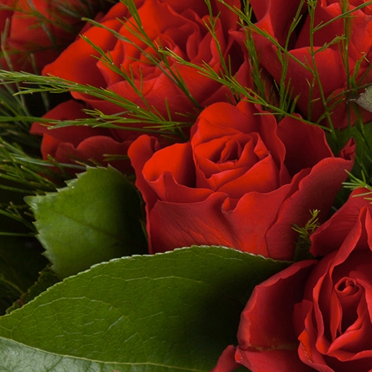 Coclico Hendaye Fleuriste Pays basque Hendaye Biarritz Bouquet Coclico Coclico Hendaye Fleuriste Pays basque Hendaye Biarritz Bouquet Coclico