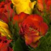 Coclico Hendaye Fleuriste Pays basque Hendaye Biarritz Bouquet Fuego