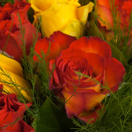Coclico Hendaye Fleuriste Pays basque Hendaye Biarritz Bouquet Fuego Coclico Hendaye Fleuriste Pays basque Hendaye Biarritz Bouquet Fuego