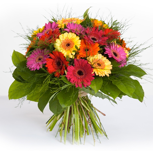 Coclico Hendaye Fleuriste Pays basque Hendaye Biarritz Bouquet Mercure Coclico Hendaye Fleuriste Pays basque Hendaye Biarritz Bouquet Mercure