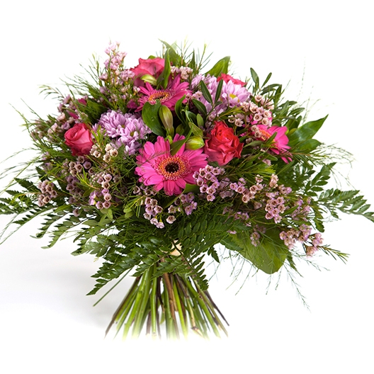 Coclico Hendaye Fleuriste Pays basque Hendaye Biarritz Bouquet Vénus Coclico Hendaye Fleuriste Pays basque Hendaye Biarritz Bouquet Vénus