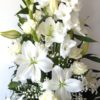 Coclico Hendaye Fleuriste Pays basque Hendaye Biarritz Composition Aphrodite