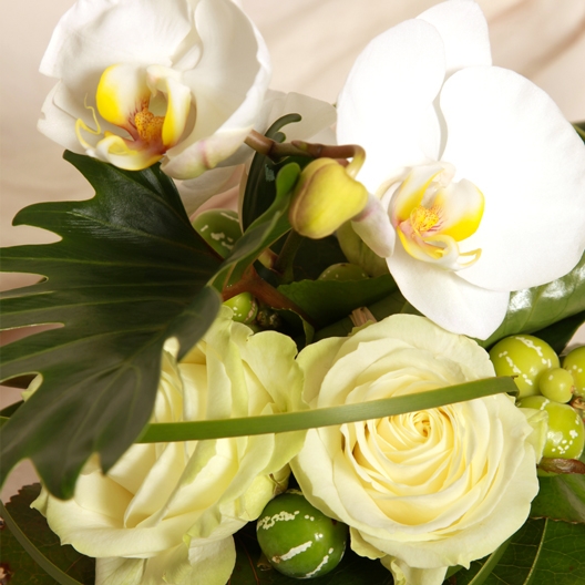 Coclico Hendaye Fleuriste Pays basque Hendaye Biarritz Composition Ariane Coclico Hendaye Fleuriste Pays basque Hendaye Biarritz Composition Ariane