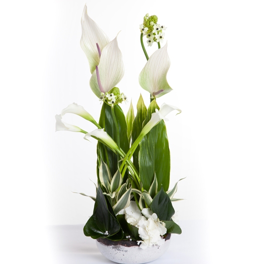 Coclico Hendaye Fleuriste Pays basque Hendaye Biarritz Composition Athena Coclico Hendaye Fleuriste Pays basque Hendaye Biarritz Composition Athena