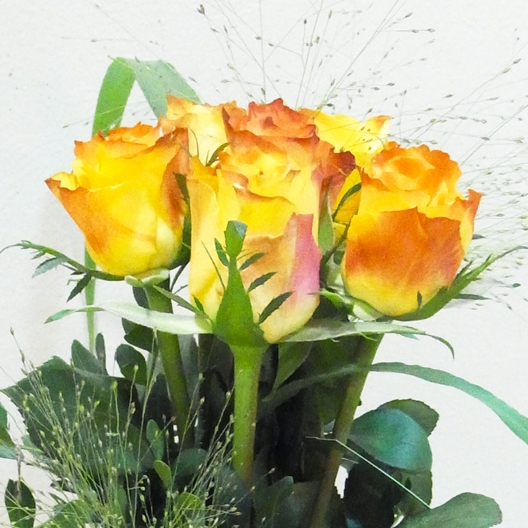 Coclico Hendaye Fleuriste Pays basque Hendaye Biarritz Composition Erato Coclico Hendaye Fleuriste Pays basque Hendaye Biarritz Composition Erato