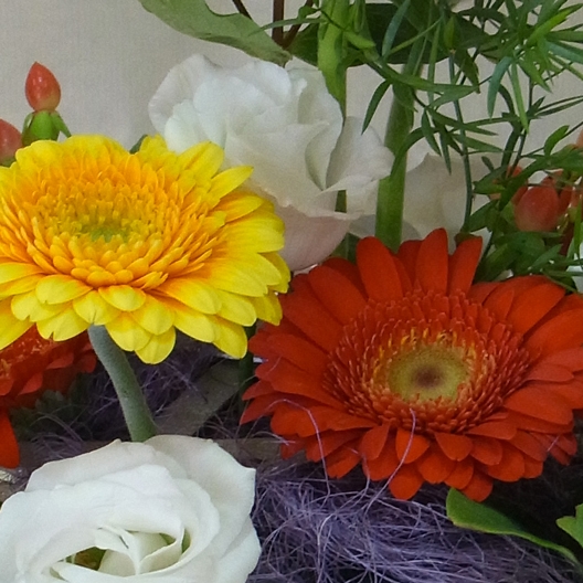 Coclico Hendaye Fleuriste Pays basque Hendaye Biarritz Composition Hera Coclico Hendaye Fleuriste Pays basque Hendaye Biarritz Composition Hera