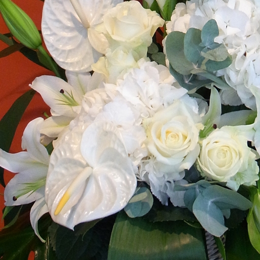 Coclico Hendaye Fleuriste Pays basque Hendaye Biarritz Composition Junon Coclico Hendaye Fleuriste Pays basque Hendaye Biarritz Composition Junon