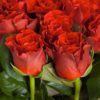 Coclico Hendaye Fleuriste Pays basque Hendaye Biarritz Bouquet El Toro