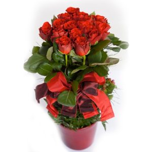 Coclico Hendaye Fleuriste Pays basque Hendaye Biarritz Bouquet El Toro