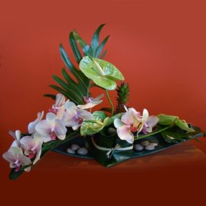 Coclico Hendaye Fleuriste Pays basque Hendaye Biarritz Composition Aloa
