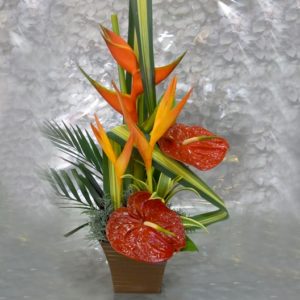 Coclico Hendaye Fleuriste Pays basque Hendaye Biarritz Composition Costa Rica
