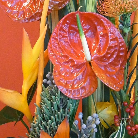 Coclico Hendaye Fleuriste Pays basque Hendaye Biarritz Composition Guadeloupe Coclico Hendaye Fleuriste Pays basque Hendaye Biarritz Composition Guadeloupe