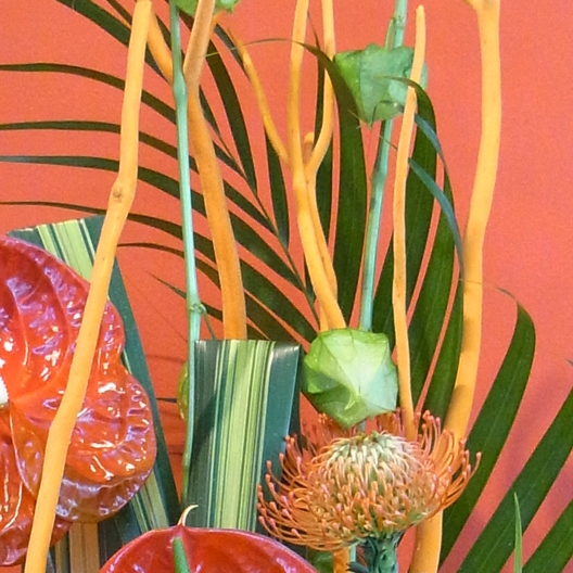 Coclico Hendaye Fleuriste Pays basque Hendaye Biarritz Composition Guadeloupe Coclico Hendaye Fleuriste Pays basque Hendaye Biarritz Composition Guadeloupe