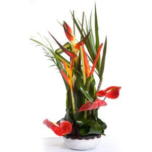 Coclico Hendaye Fleuriste Pays basque Hendaye Biarritz Composition Guyane