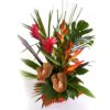 Coclico Hendaye Fleuriste Pays basque Hendaye Biarritz Composition Saint Barth
