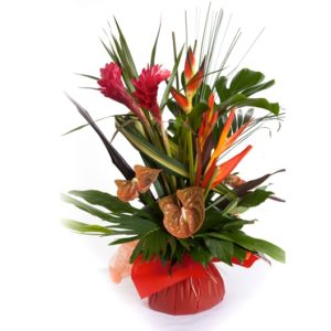 Coclico Hendaye Fleuriste Pays basque Hendaye Biarritz Composition Saint Barth