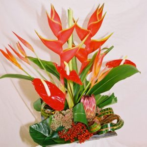 Coclico Hendaye Fleuriste Pays basque Hendaye Biarritz Composition Tahiti